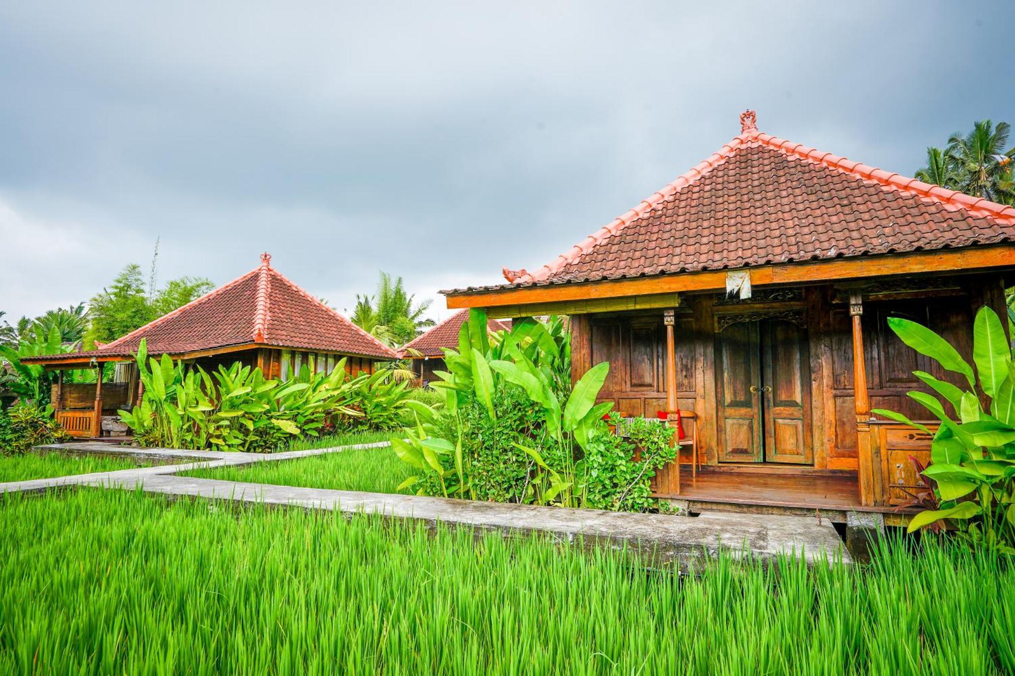 טגלאלאנג Ubud Sawah Scenery Villa And Homestay מראה חיצוני תמונה