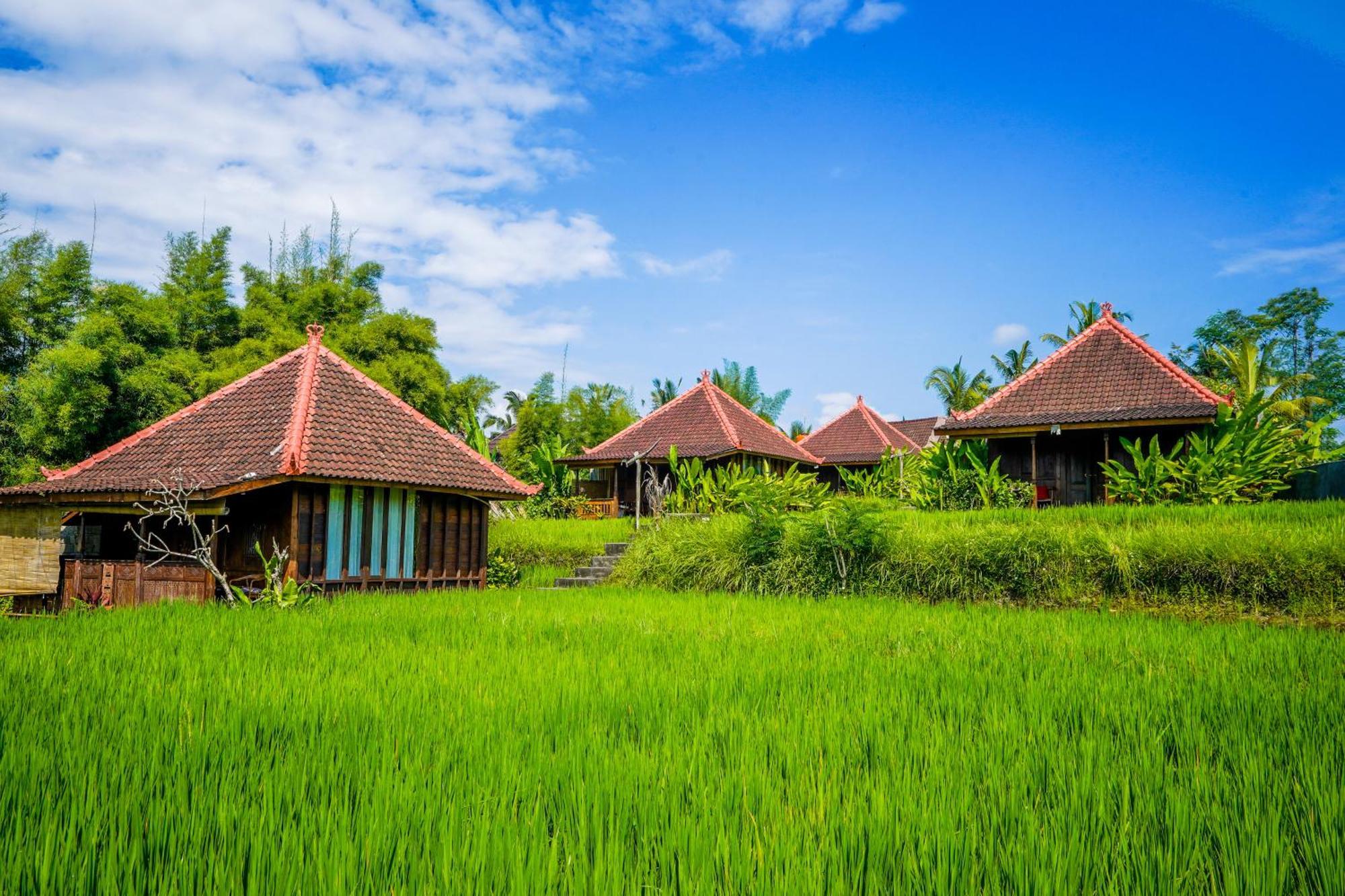 טגלאלאנג Ubud Sawah Scenery Villa And Homestay מראה חיצוני תמונה