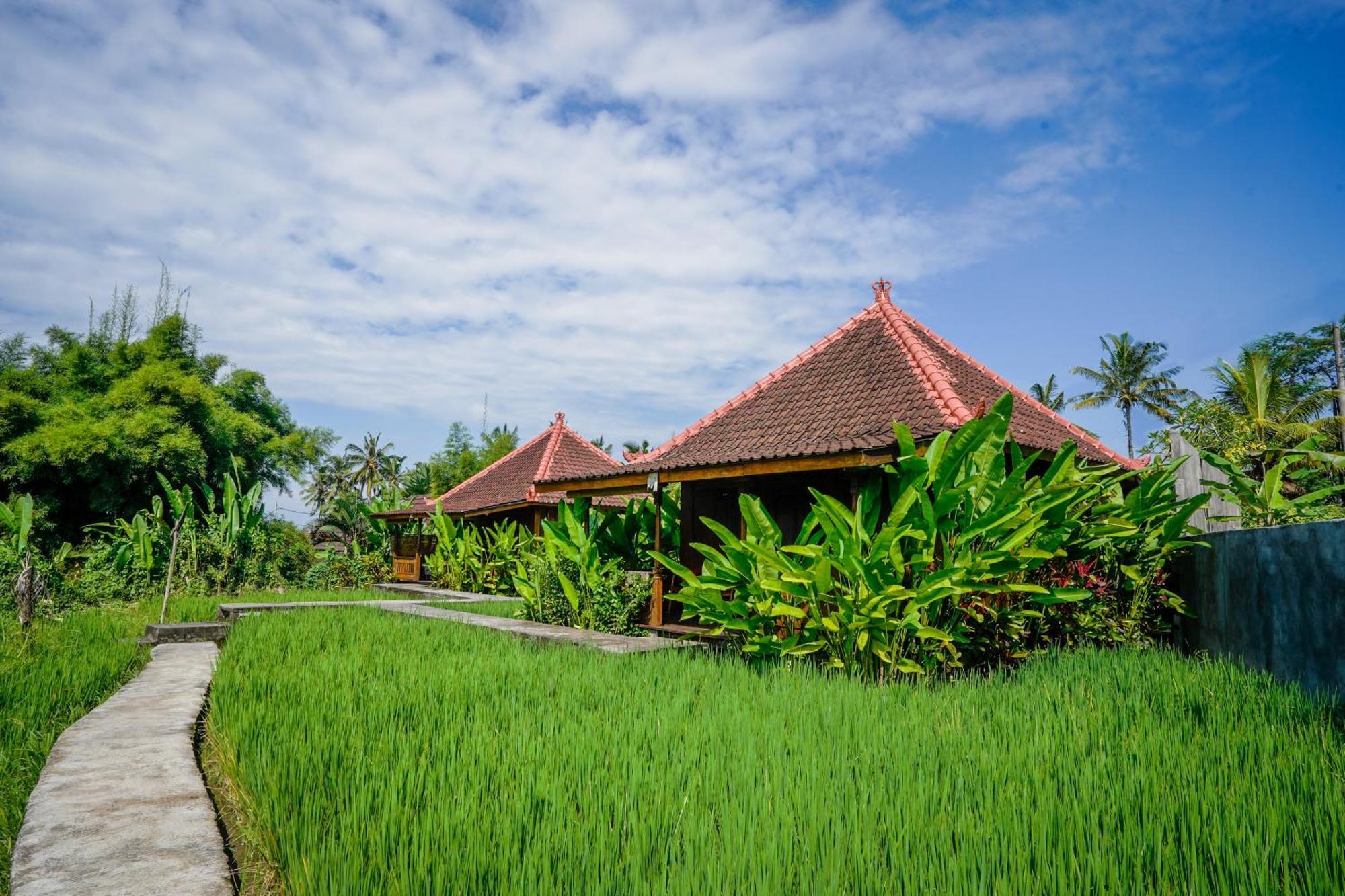 טגלאלאנג Ubud Sawah Scenery Villa And Homestay מראה חיצוני תמונה