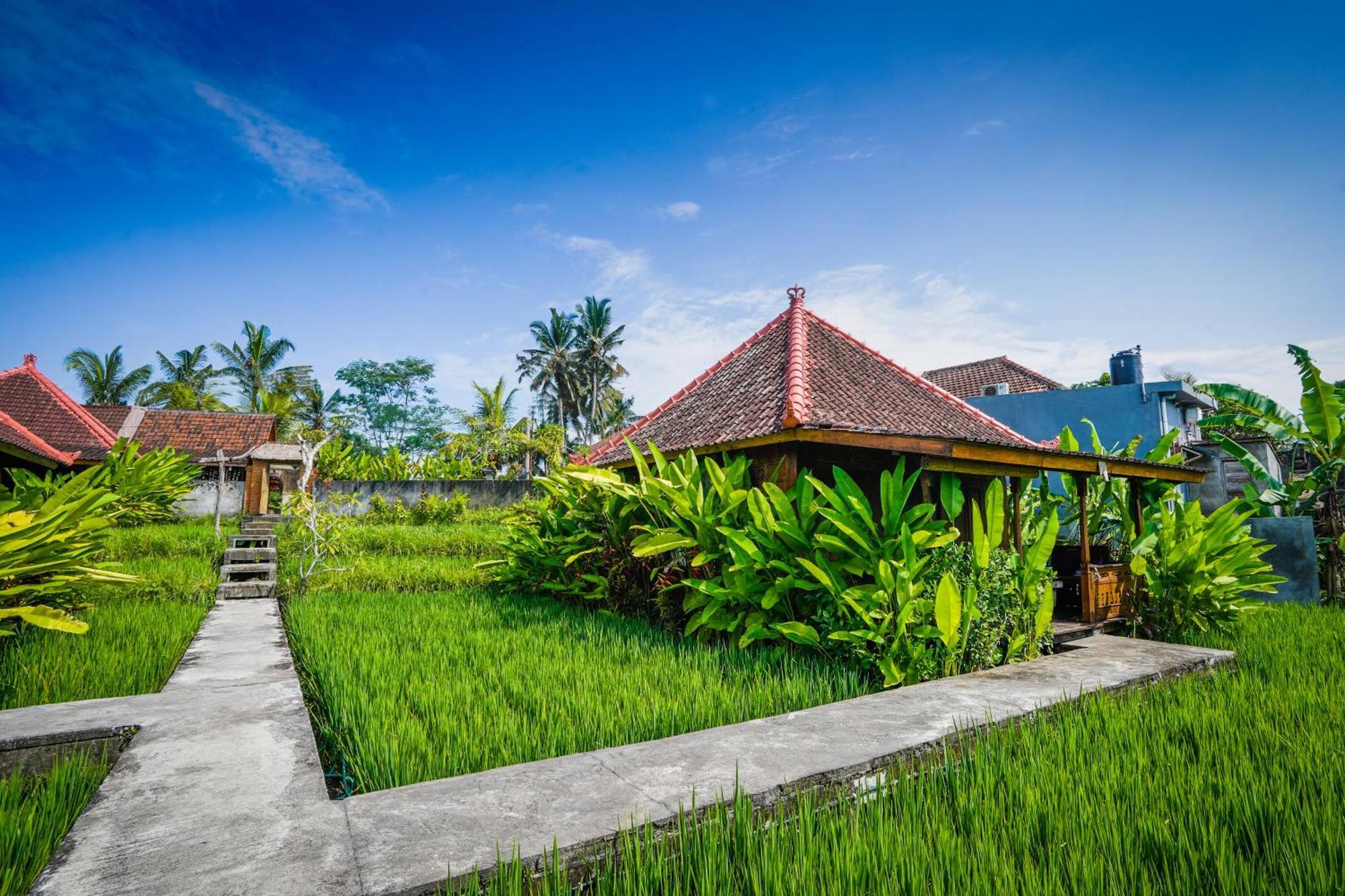 טגלאלאנג Ubud Sawah Scenery Villa And Homestay מראה חיצוני תמונה