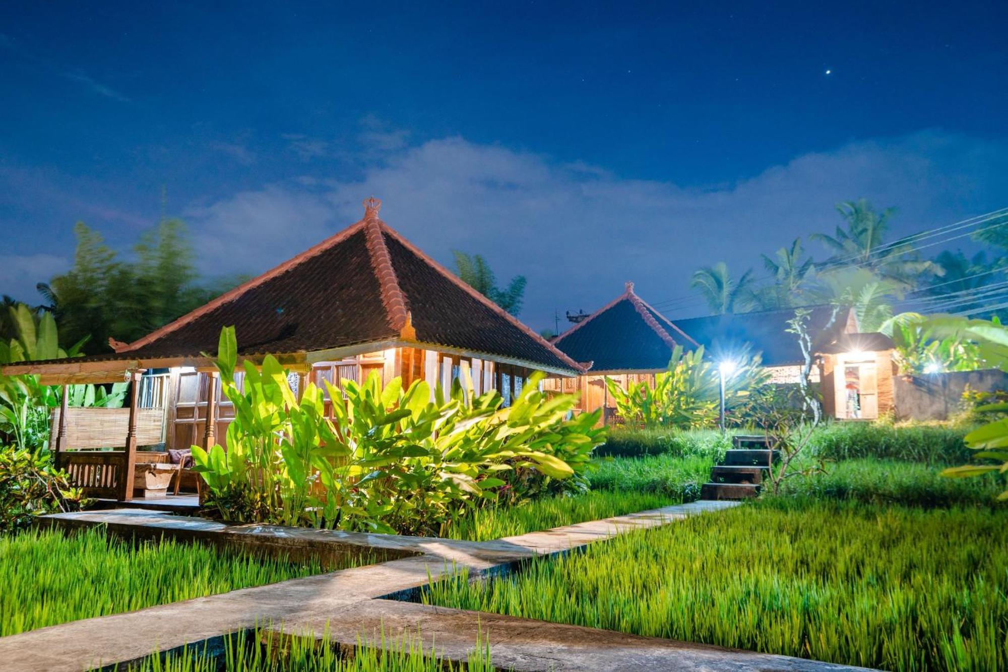 טגלאלאנג Ubud Sawah Scenery Villa And Homestay מראה חיצוני תמונה