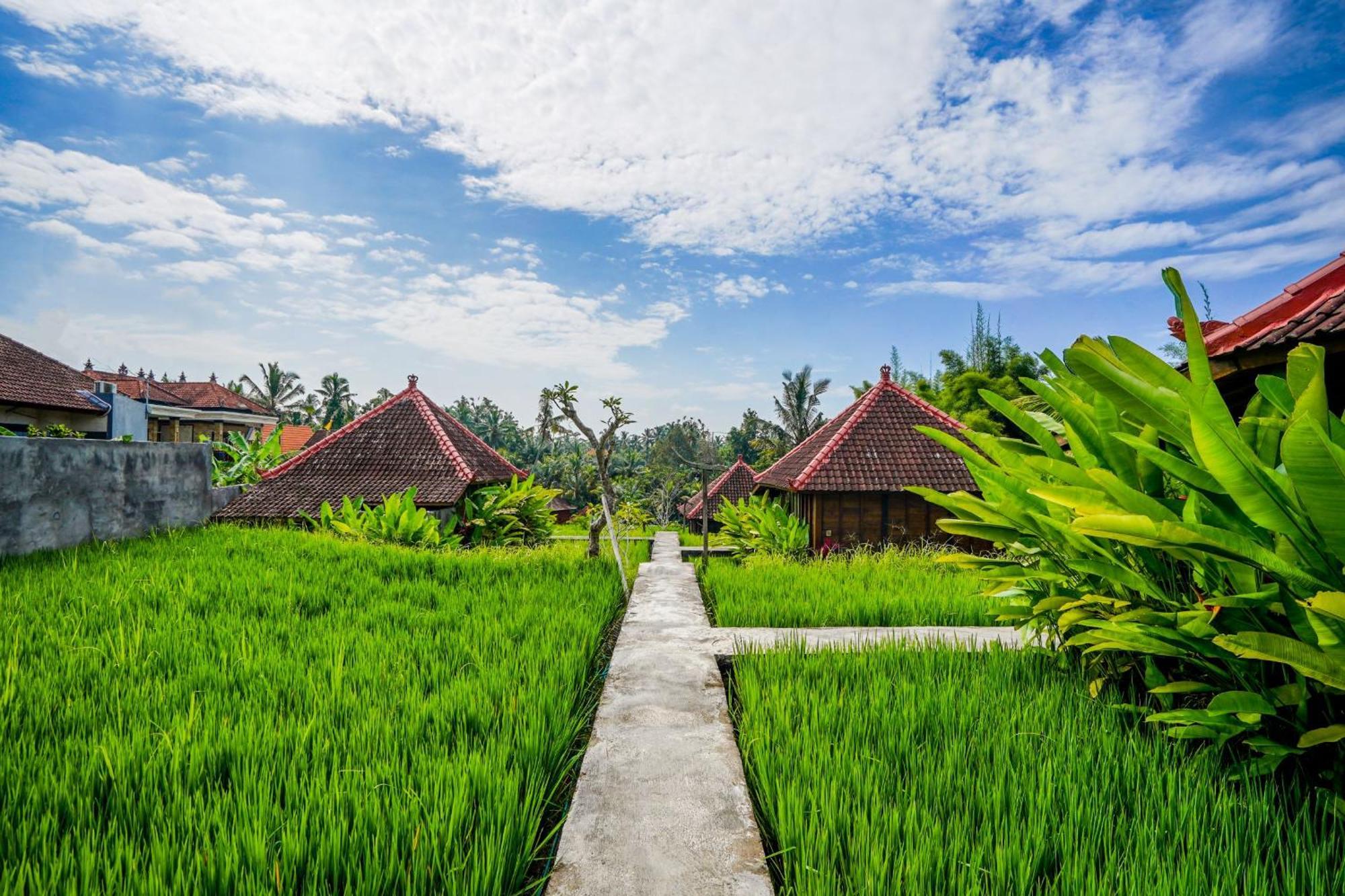 טגלאלאנג Ubud Sawah Scenery Villa And Homestay מראה חיצוני תמונה